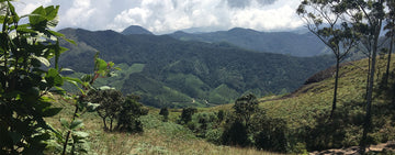 Adventures In India: Visiting Our Producers