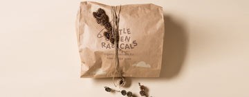 Our Journey to Plastic Free