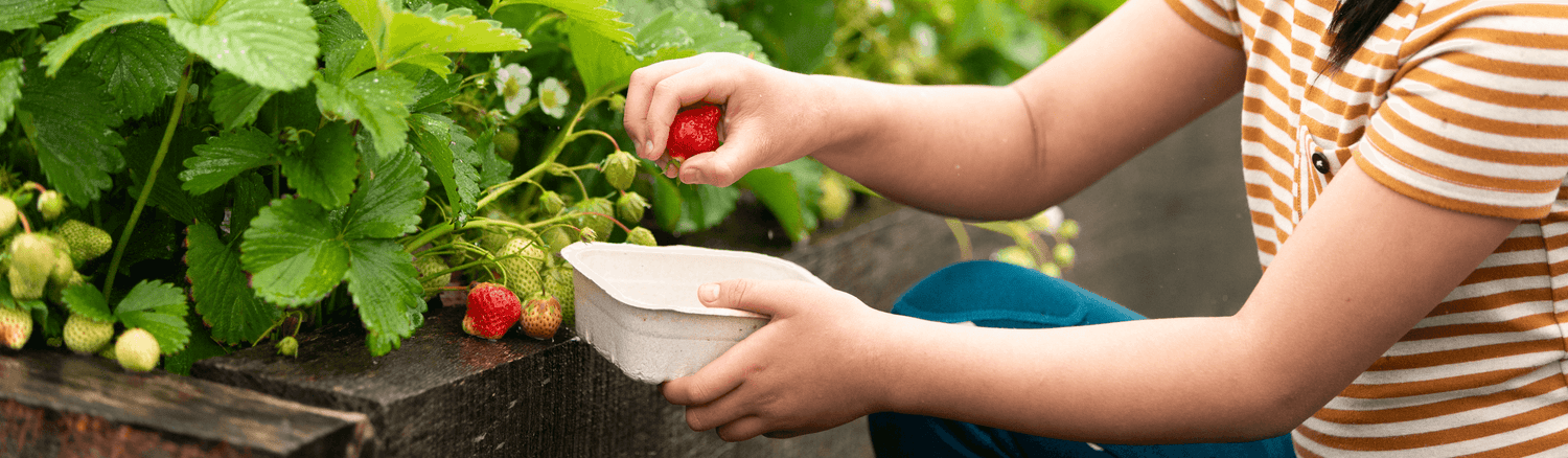 New Organic Cotton Tops