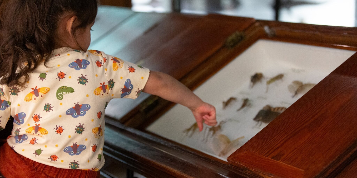 Finding The Extraordinary Tops