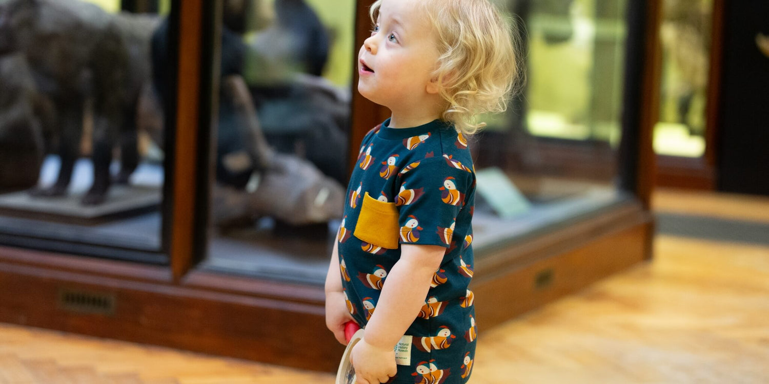 Finding The Extraordinary Sets