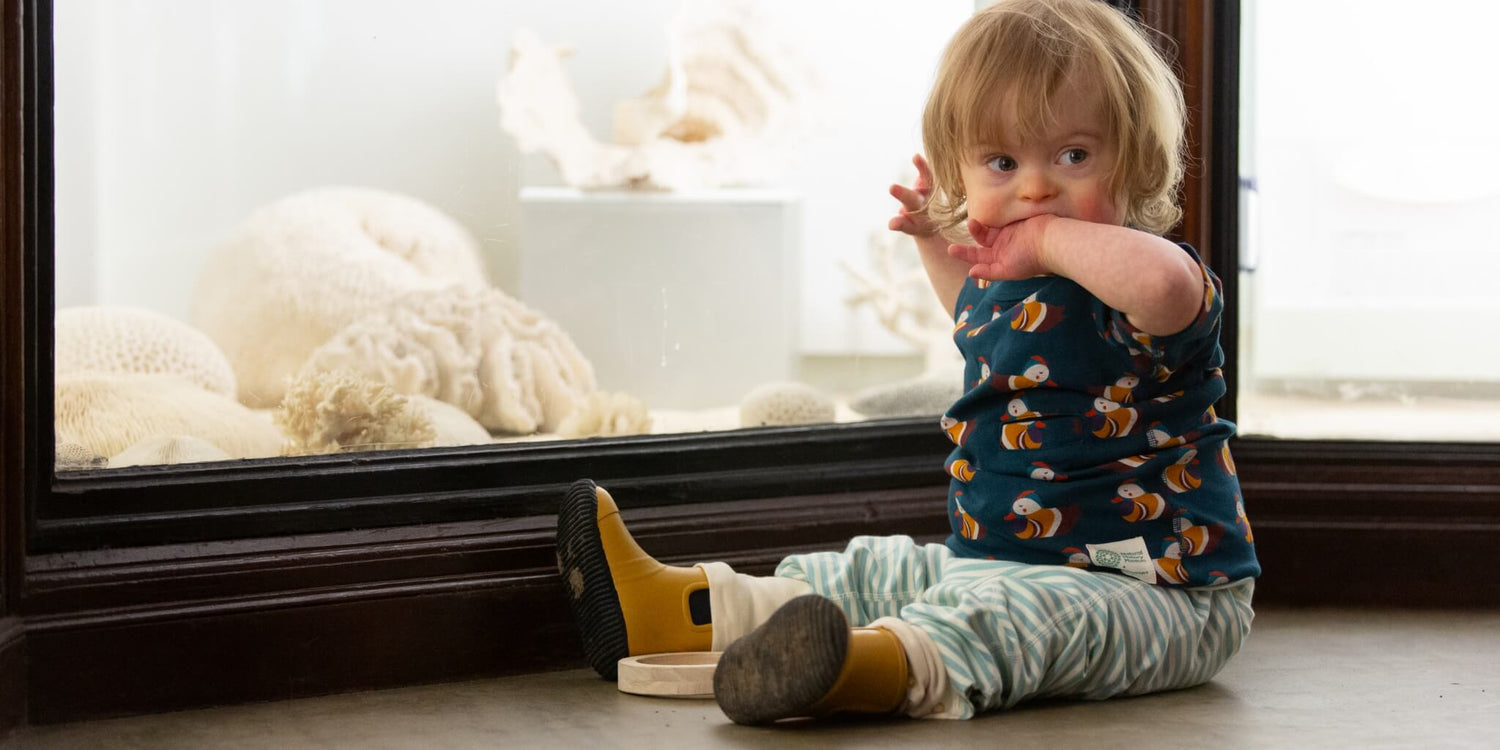 Finding The Extraordinary Adaptive