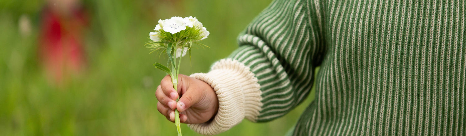 Organic Cotton Knitwear For Babies