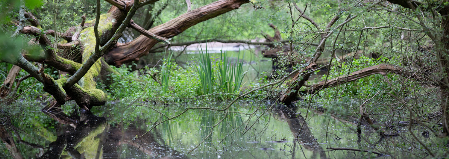 The Outlet Shop - 50% Off