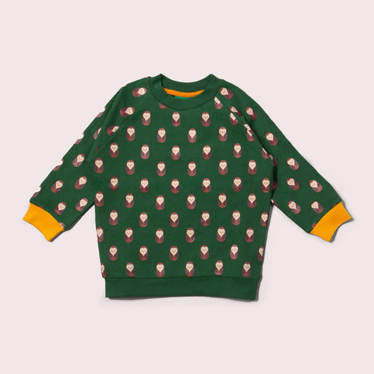 Brown Owl Raglan Sweatshirt