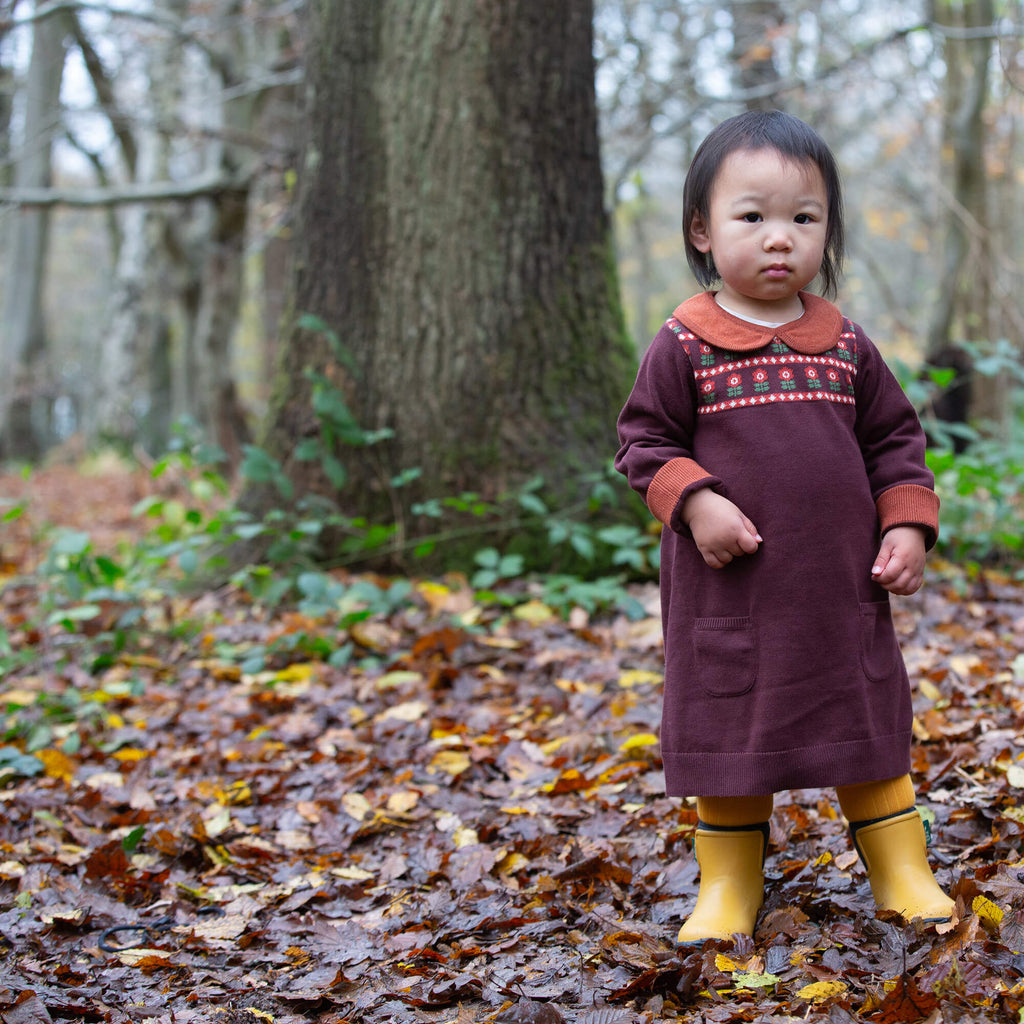 Collecting Flowers Knitted Collar Dress Brown / 5-6y