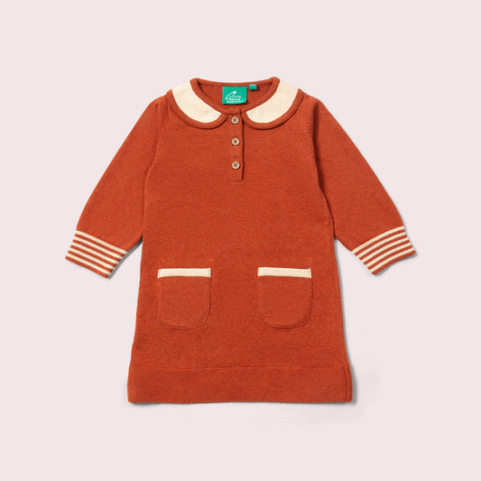 Ginger Knitted Collar Dress