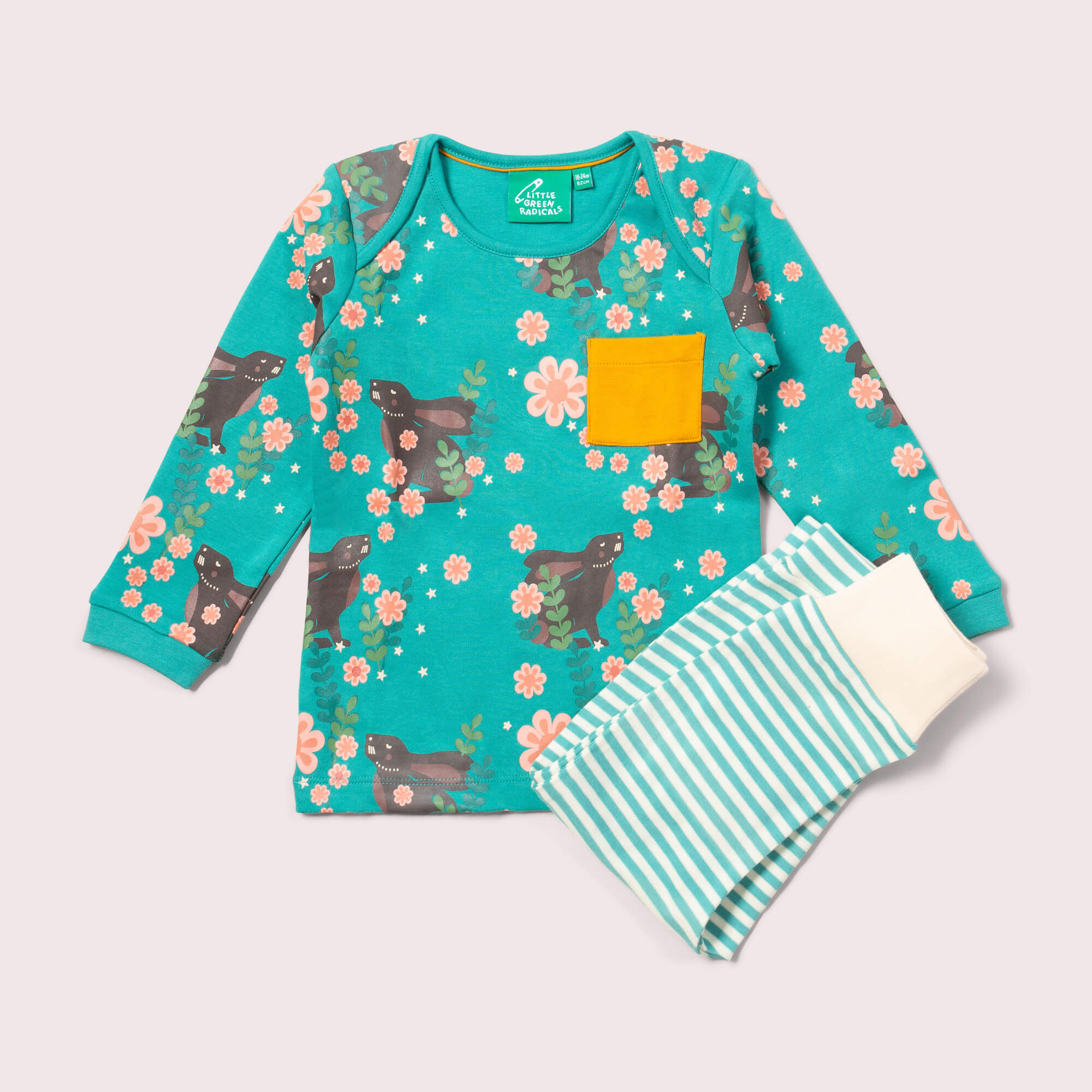 Organic Cotton Baby Clothes Sets – Little Green Radicals