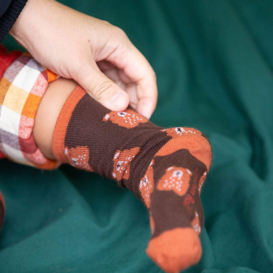 Teddy Bear Ankle Socks 5 Pack