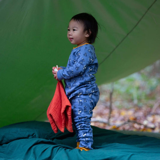 Midnight Animals Organic Pyjamas