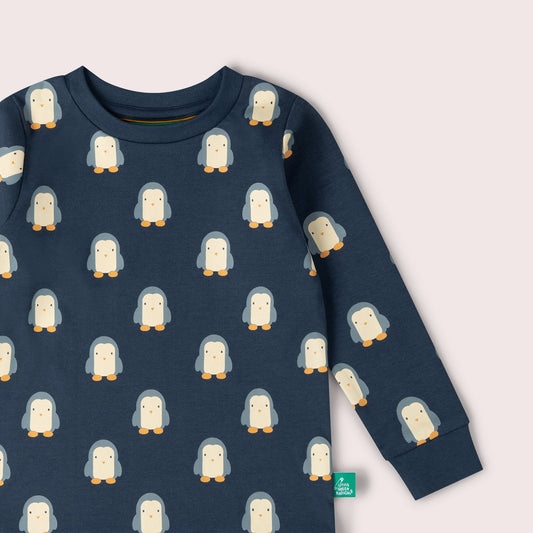Blue Penguins Organic Pyjamas