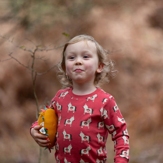 Little Unicorns Organic Pyjamas