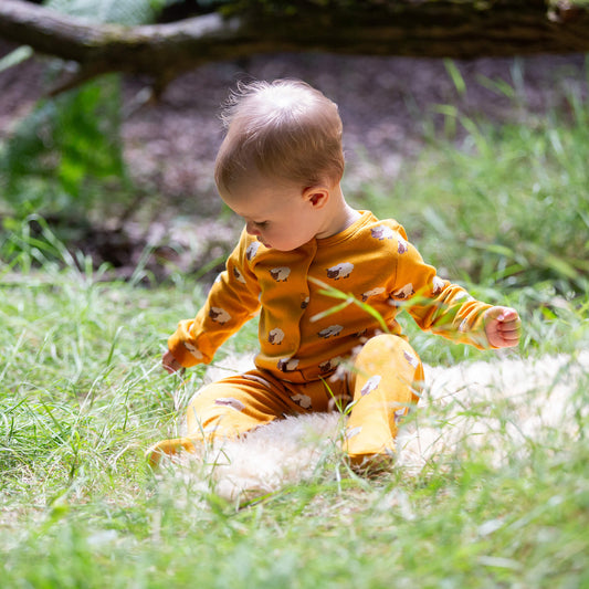 Counting Sheep Organic Babygrow