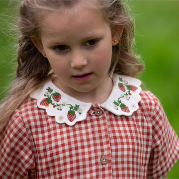 Little Red Check Button Through Short Sleeve Dress