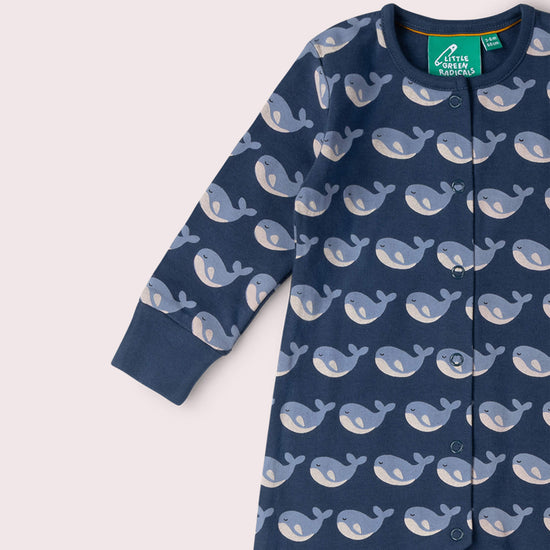 Singing Whales Organic Babygrow Blue / Newborn