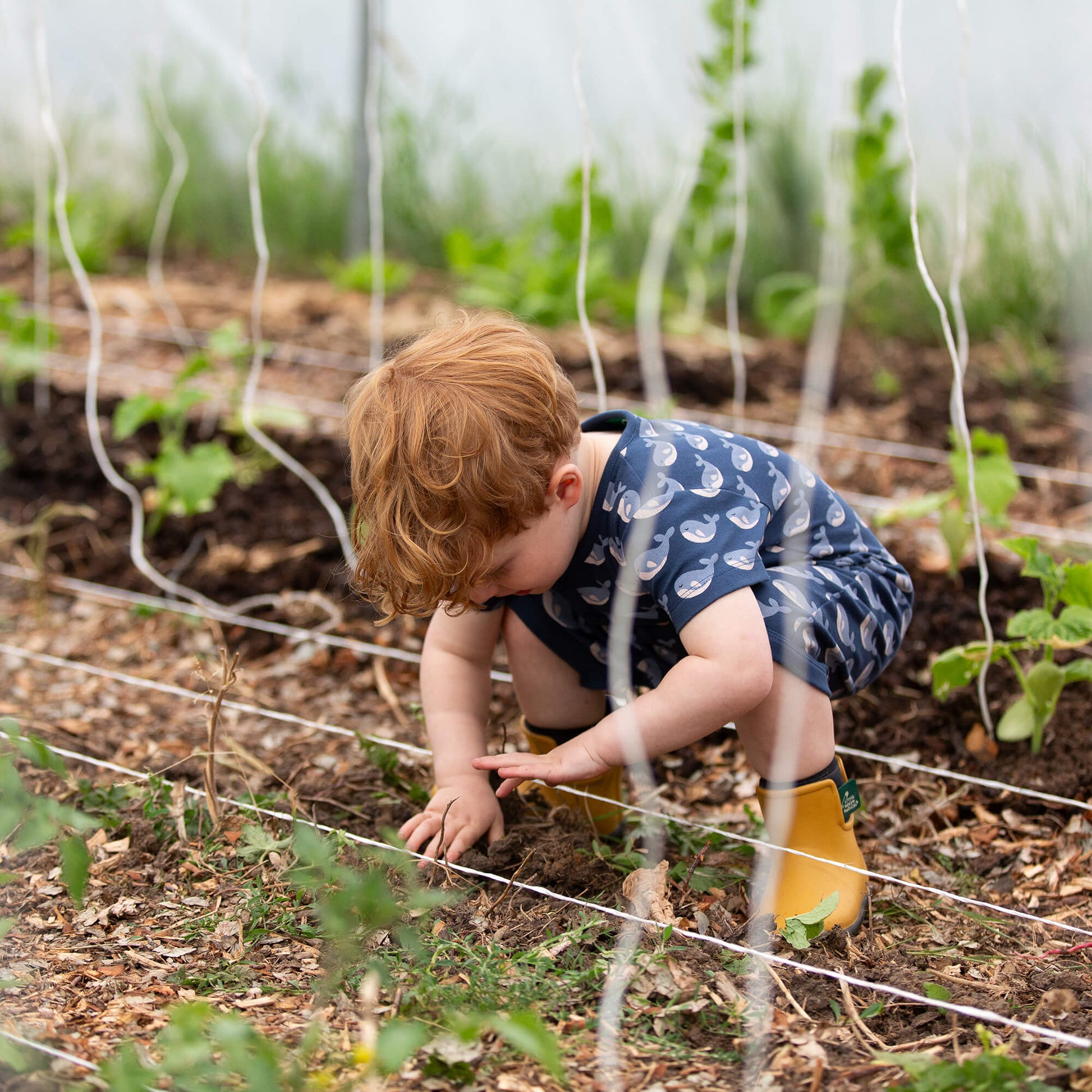 Singing Whales Organic Romper Blue / 18-24m