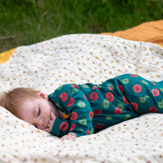 Apple Picking Zip Organic Babygrow Blue / Newborn