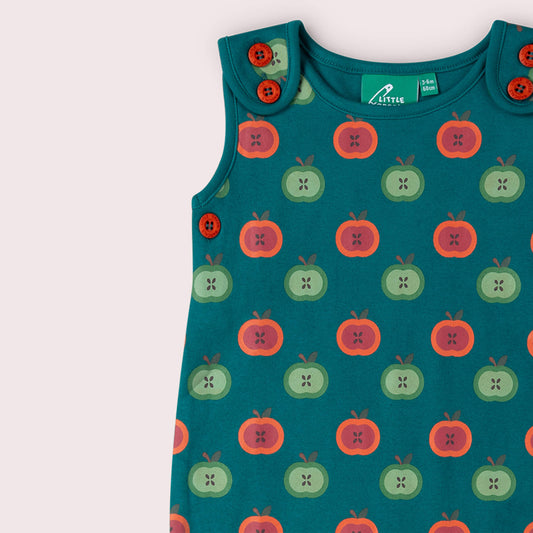 Apple Picking Everyday Dungarees Blue / 18-24m