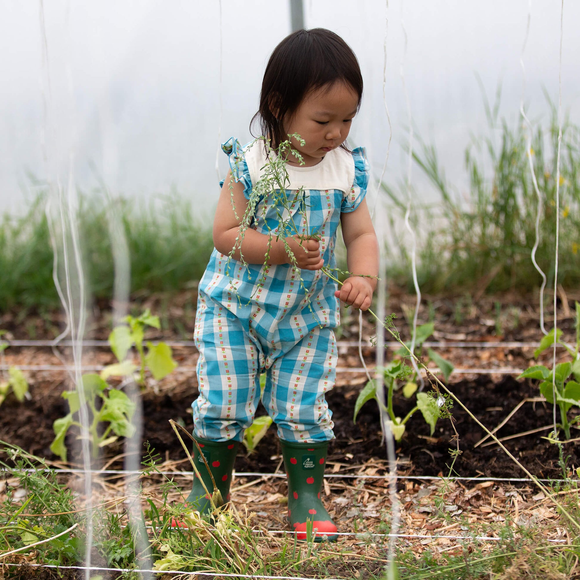 Blue Flowers Frill Summer Romper Blue / 18-24m
