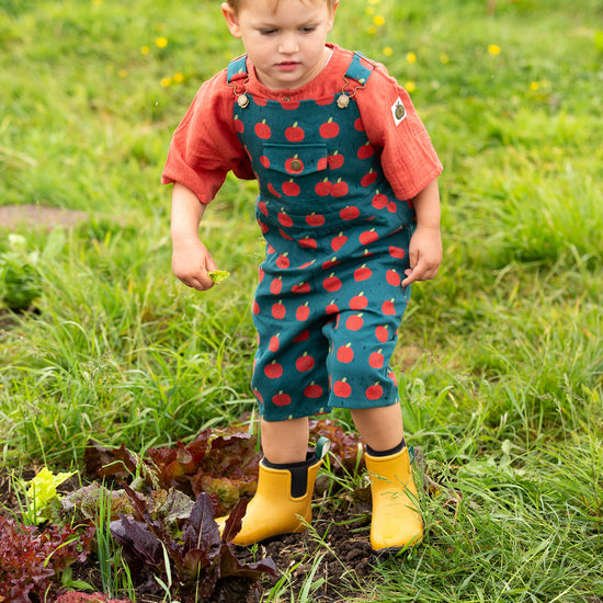 Apple Dungaree Shorts Blue / 18-24m
