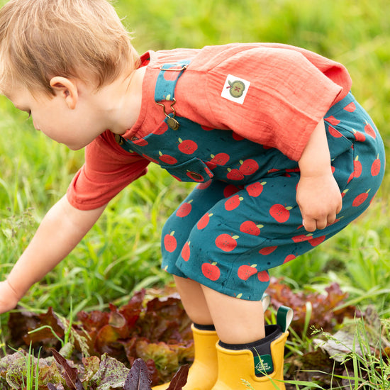 Apple Dungaree Shorts Blue / 18-24m