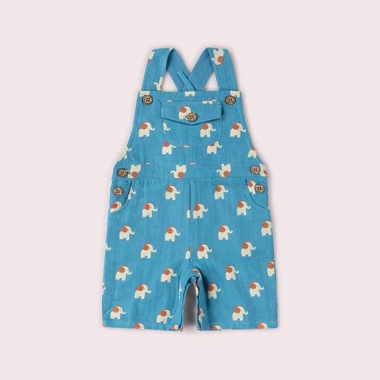 Blue Elephants Dungaree Shorts Blue / 18-24m