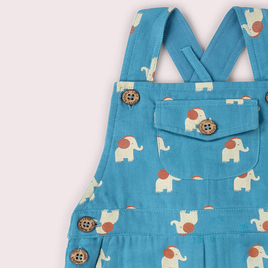 Blue Elephants Dungaree Shorts Blue / 18-24m