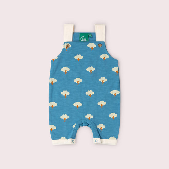 All Weather Storytime Dungaree Shorts Blue / 18-24m