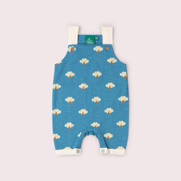 All Weather Storytime Dungaree Shorts Blue / 18-24m