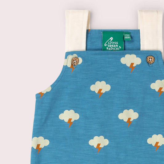 All Weather Storytime Dungaree Shorts Blue / 18-24m