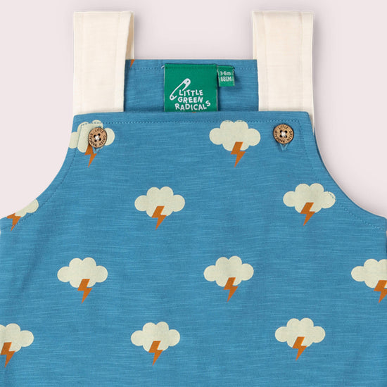 All Weather Storytime Dungaree Shorts Blue / 18-24m