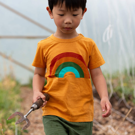 Golden Rainbow Short Sleeve Popper T Shirt Gold / 18-24m