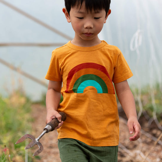Golden Rainbow Short Sleeve Popper T Shirt Gold / 18-24m