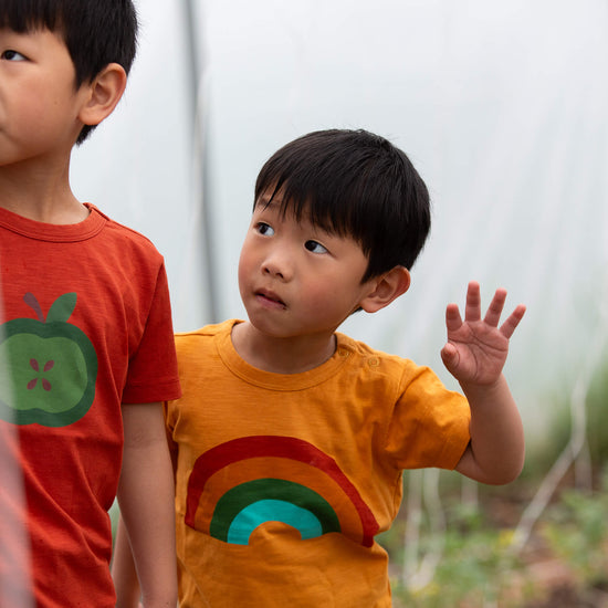 Golden Rainbow Short Sleeve Popper T Shirt Gold / 18-24m