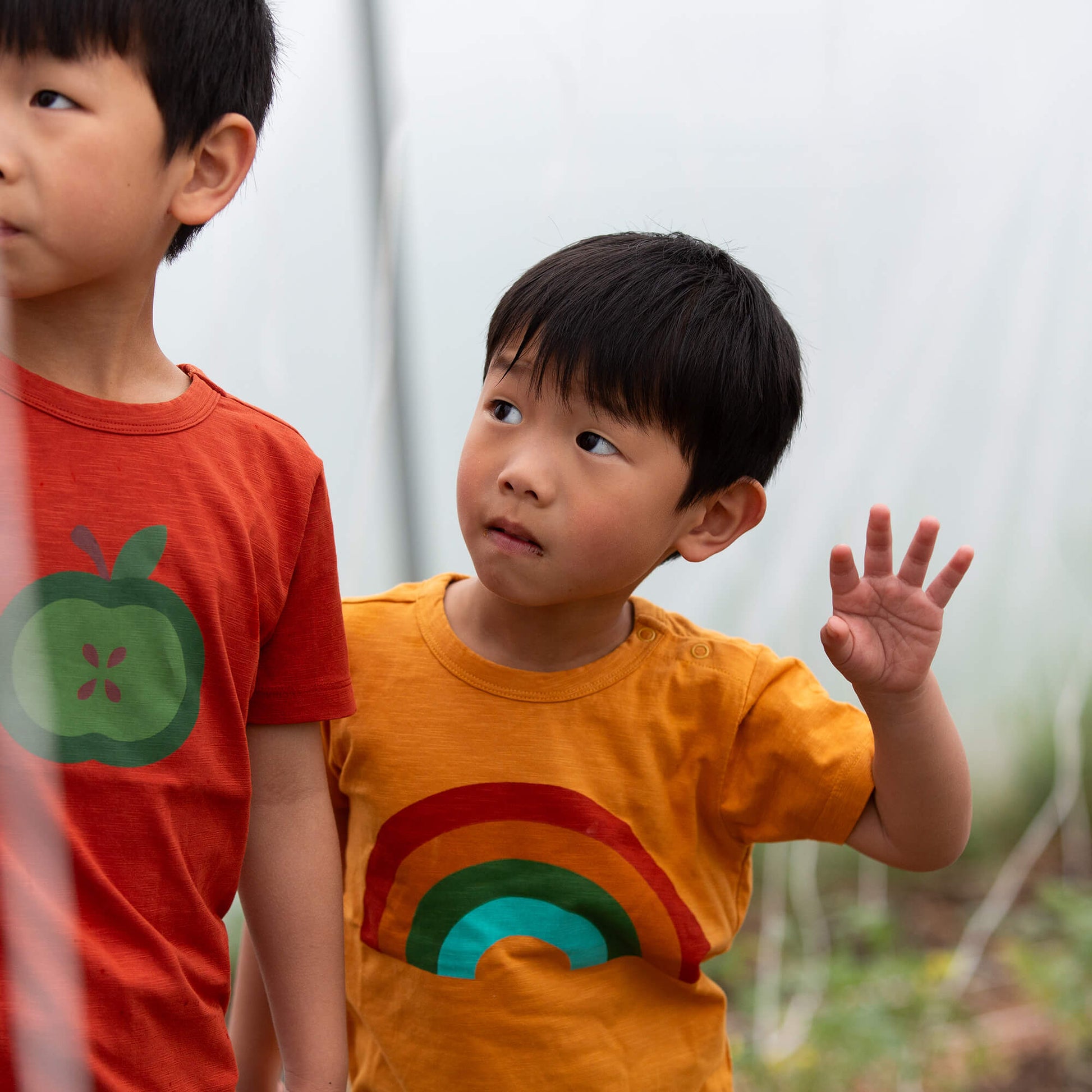 Golden Rainbow Short Sleeve Popper T Shirt Gold / 18-24m