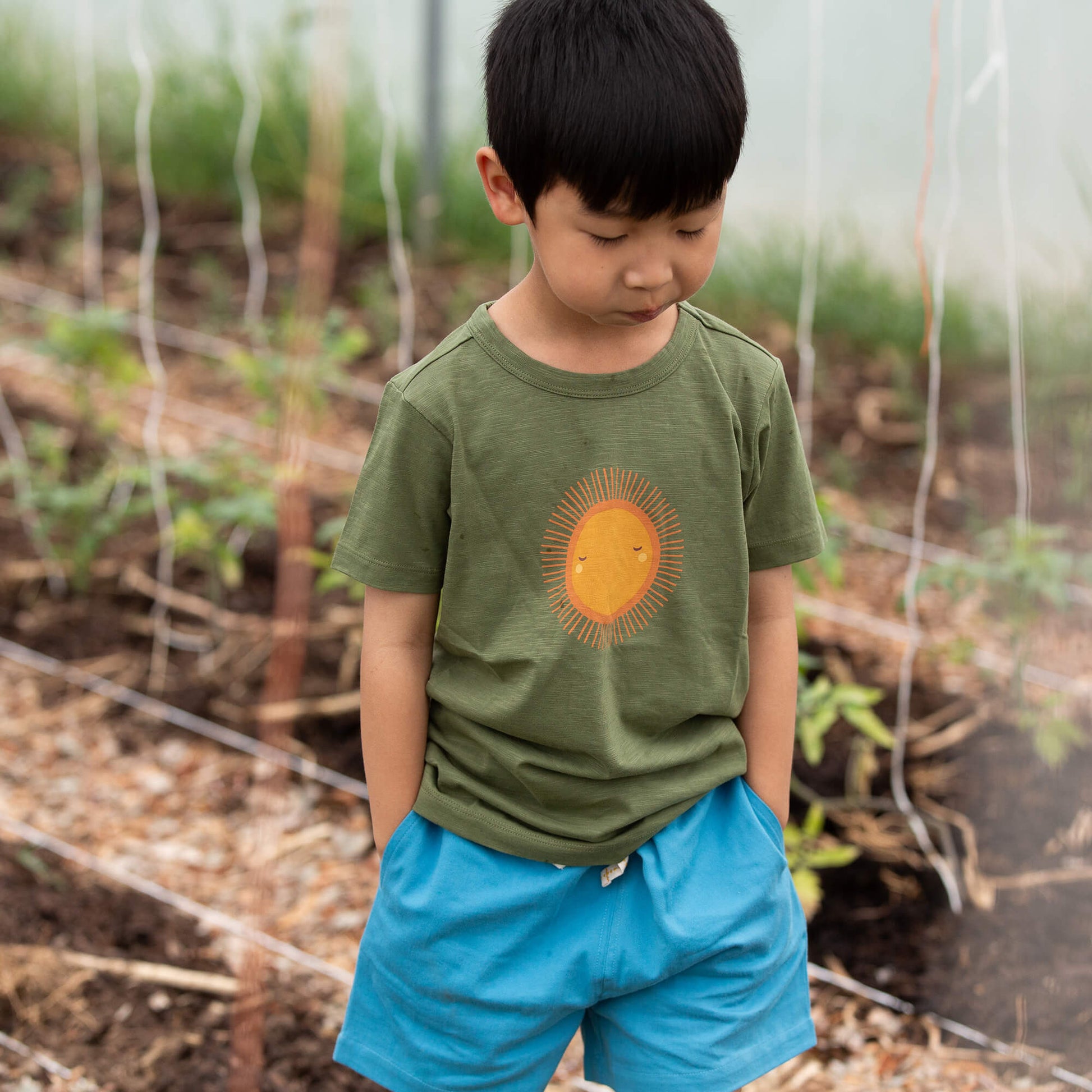 Summer Rays Short Sleeve Popper T Shirt Green / 18-24m