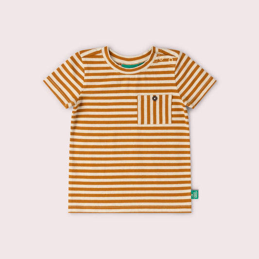 Apricot Striped Short Sleeve Essential T-Shirt Gold / 18-24m