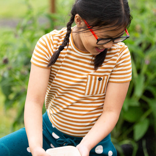 Apricot Striped Short Sleeve Essential T-Shirt Gold / 18-24m