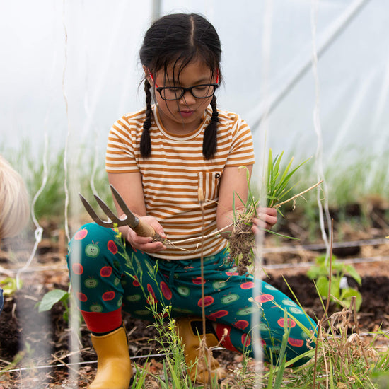 Apricot Striped Short Sleeve Essential T-Shirt Gold / 18-24m
