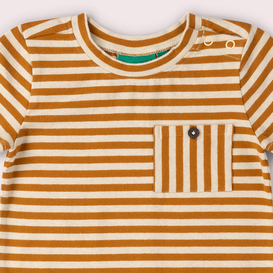 Apricot Striped Short Sleeve Essential T-Shirt Gold / 18-24m