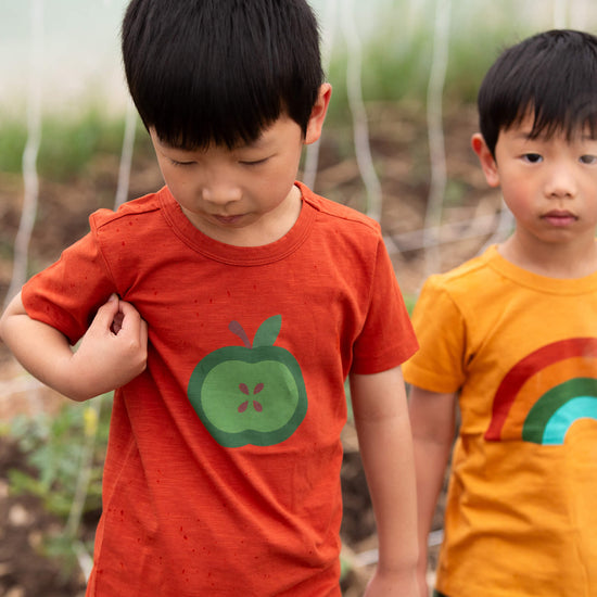 Apple A Day Short Sleeve Popper T Shirt Red / 18-24m