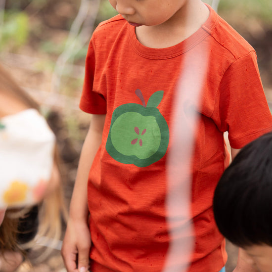 Apple A Day Short Sleeve Popper T Shirt Red / 18-24m