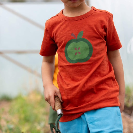 Apple A Day Short Sleeve Popper T Shirt Red / 18-24m