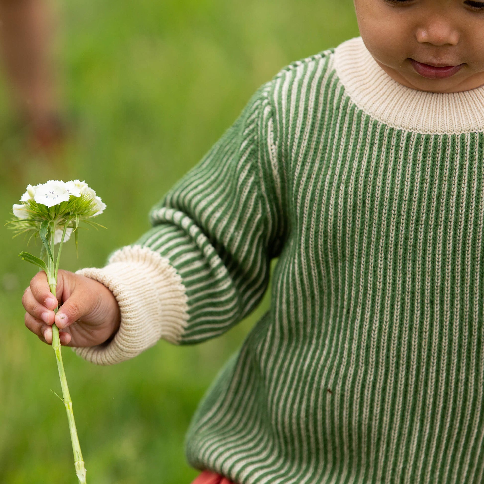 Garden Green Knitted Snuggly Jumper Green / 12-24m