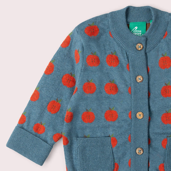 Apple A Day Knitted Cardigan Blue / 12-24m