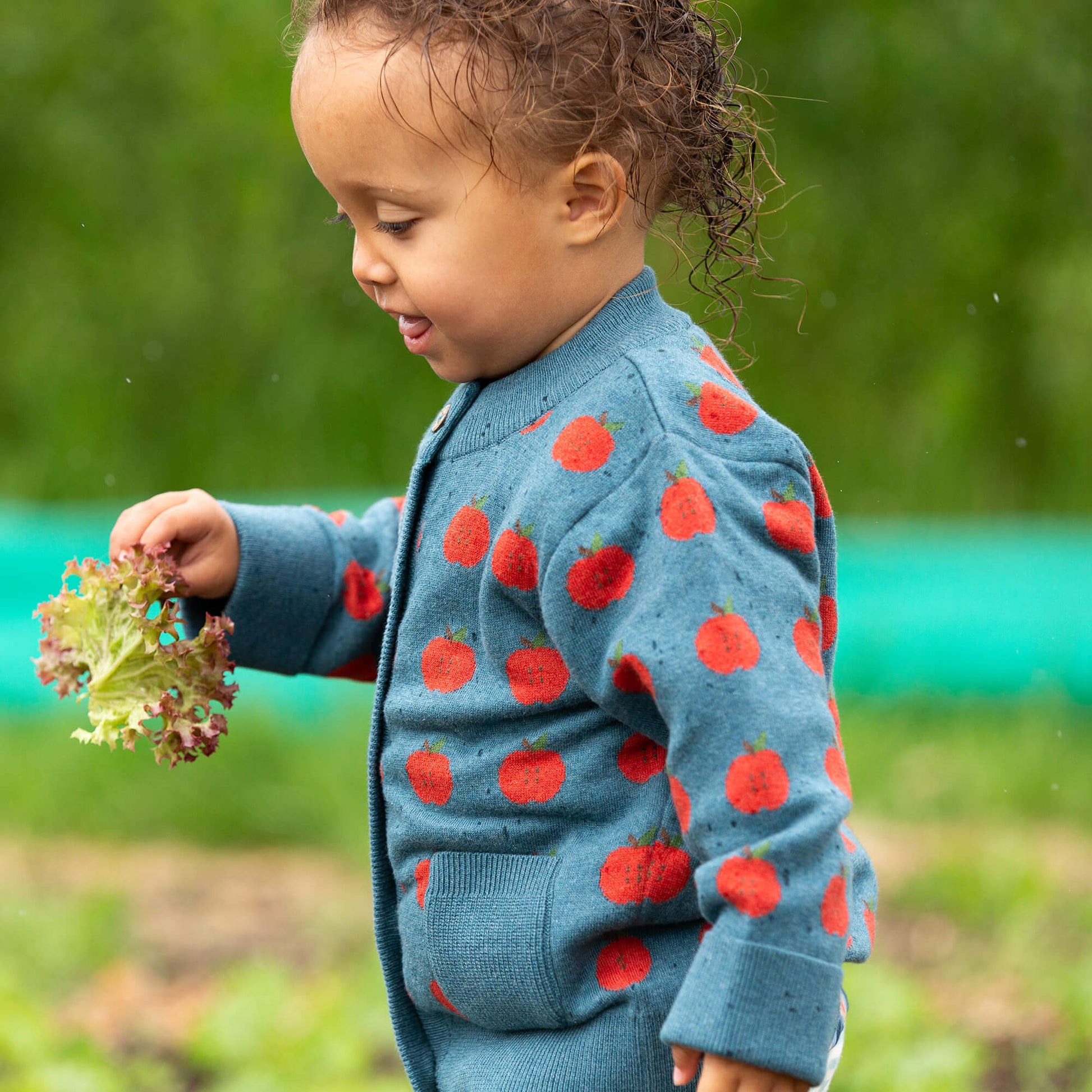 Apple A Day Knitted Cardigan Blue / 12-24m