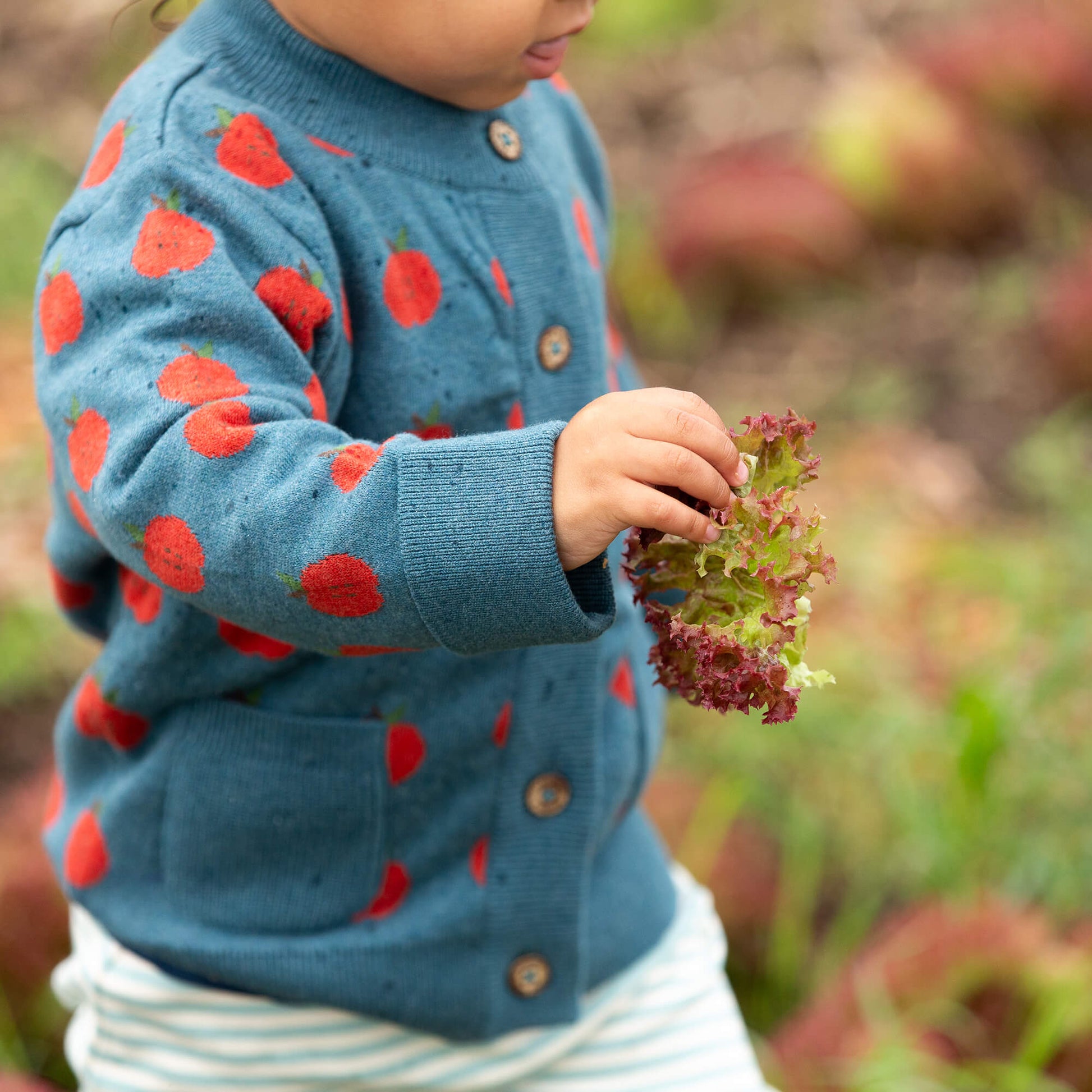 Apple A Day Knitted Cardigan Blue / 12-24m