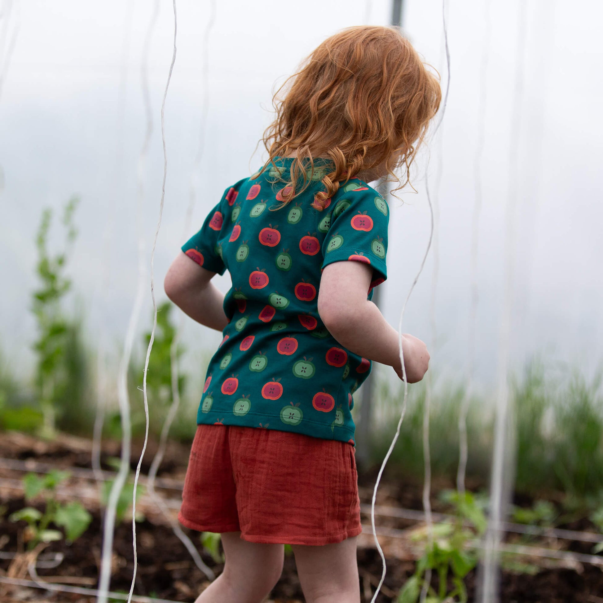 Apple Picking Short Sleeve T Shirt Blue / 18-24m