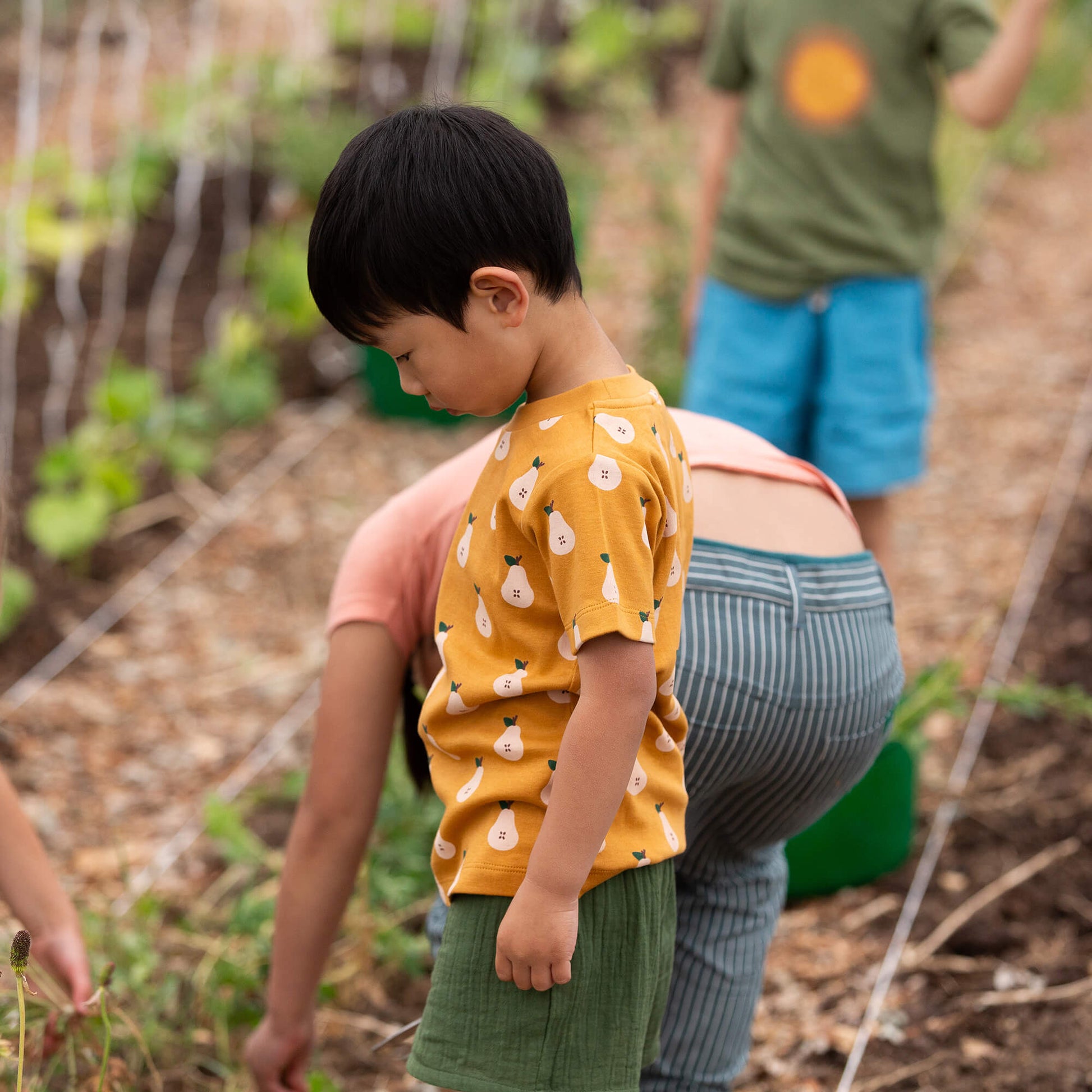 Summer Pears Short Sleeve T Shirt Gold / 18-24m