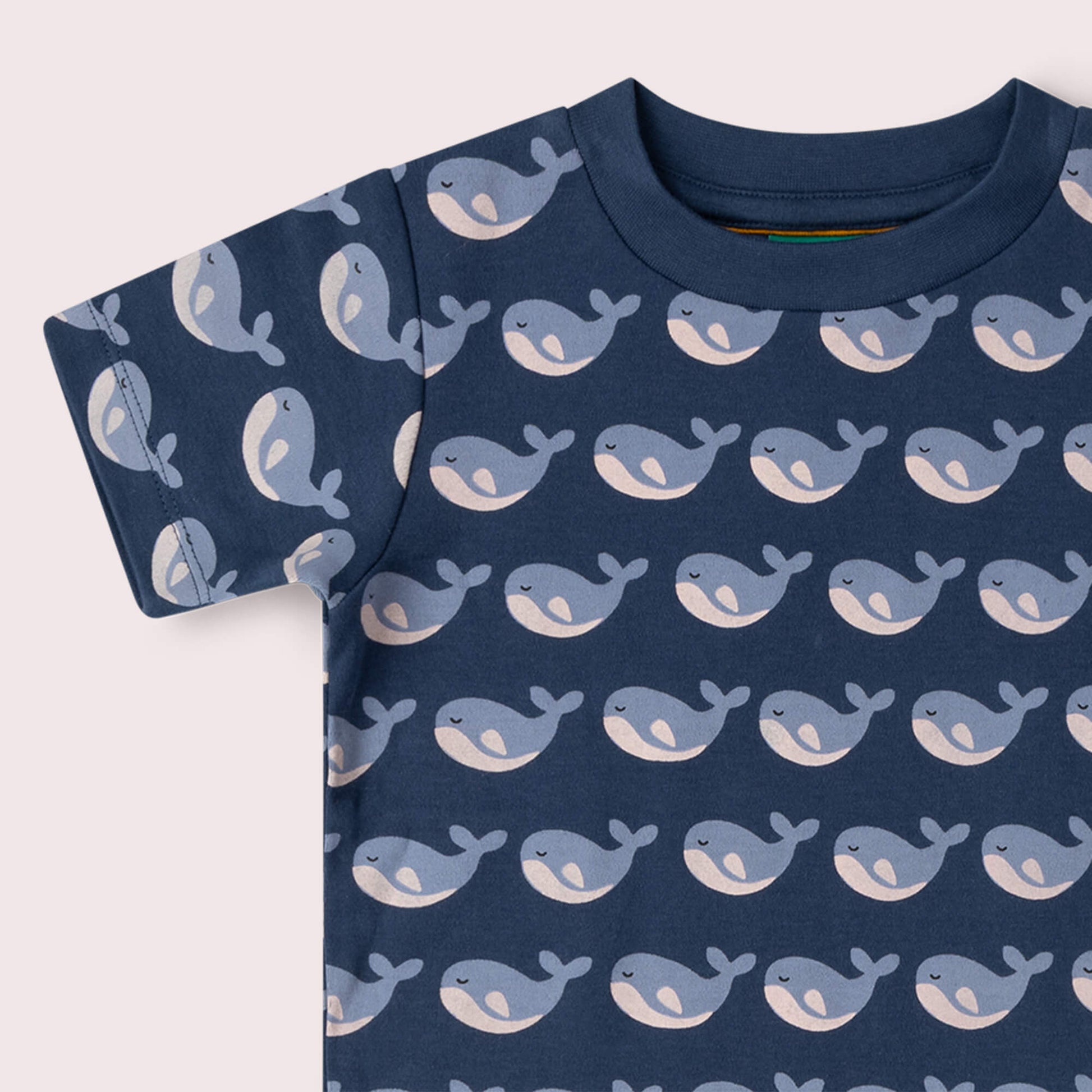 Singing Whales Short Sleeve T Shirt Blue / 18-24m